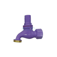 Elson Recycled Water A/V Hose Cock 5/8" Fi Brass Lilac 60323