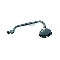  All Dir Gooseneck Shower Chrome W/Disc Wels 3 Star