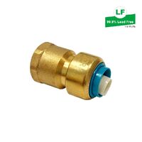 Eps Lf Push-Fit No.2 Straight Connector Lf Dr Brass 16mm X Rp1/2 Fi