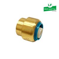 Eps Lf Push-Fit No.61 Stopper Lf Dr Brass 25mm